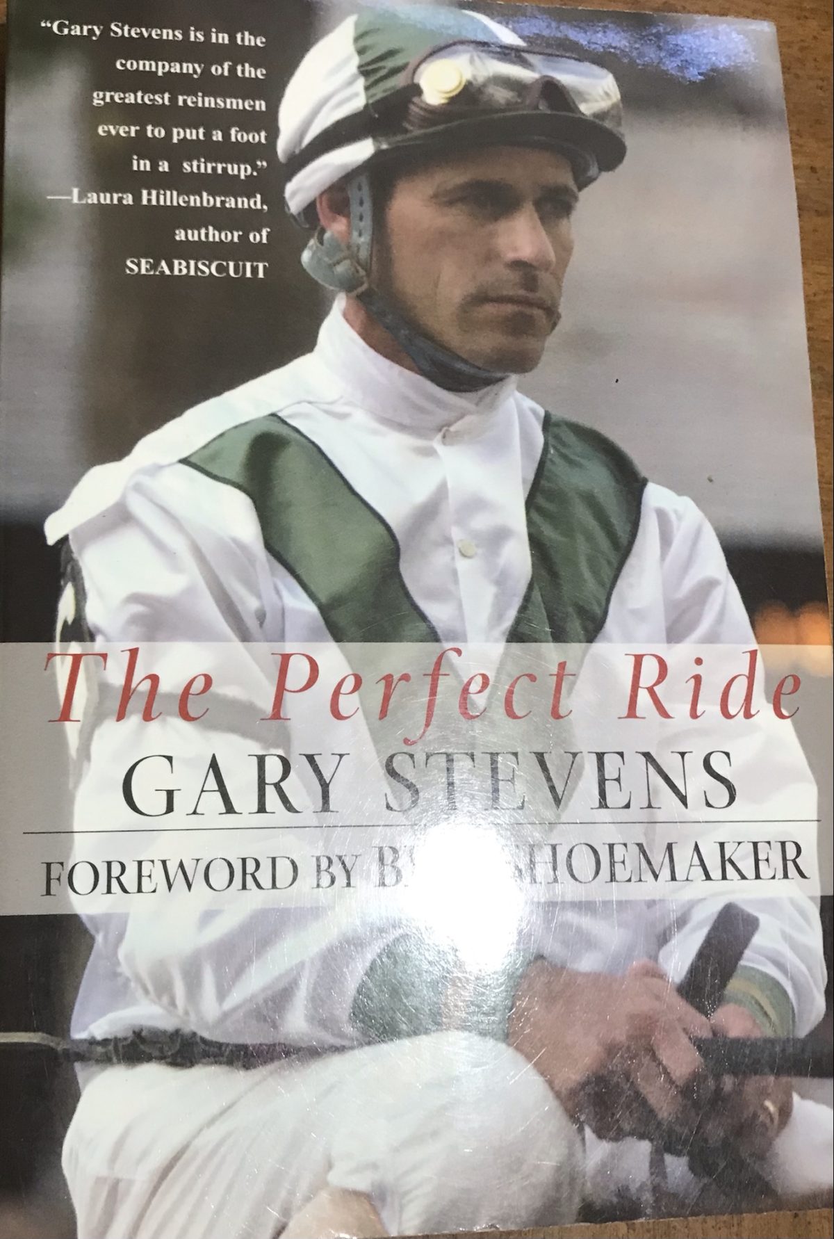 The Perfect Ride by Gary Stevens