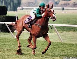 Lonesome Glory, under Blythe Miller, Win the 1995 Breeders' Cup Steeplechase