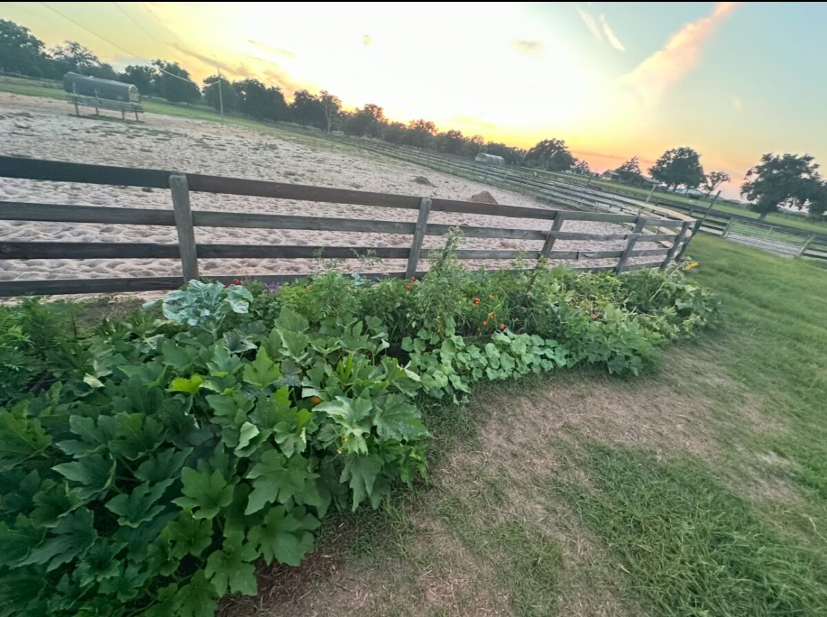 Light Shines in Darkness