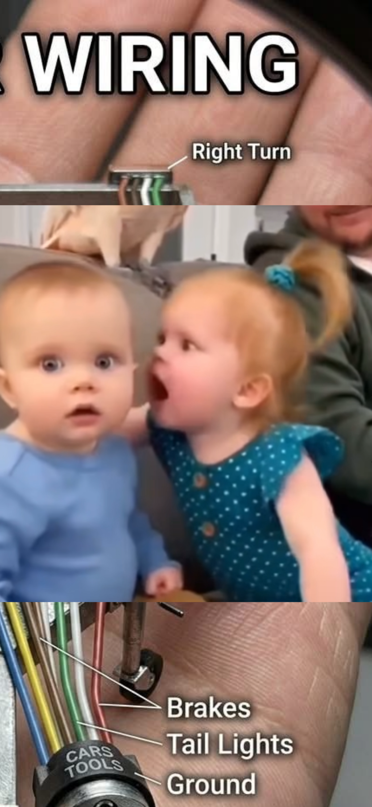 Early Man’s Brain Wiring