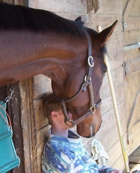 Shaolin Jockey .com