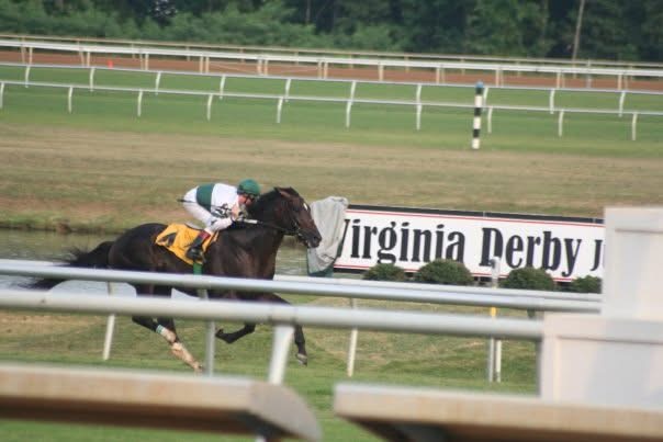 Shaolin Jockey .com