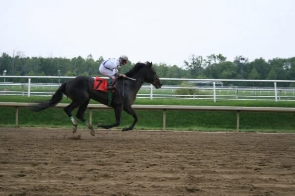 Shaolin Jockey .com