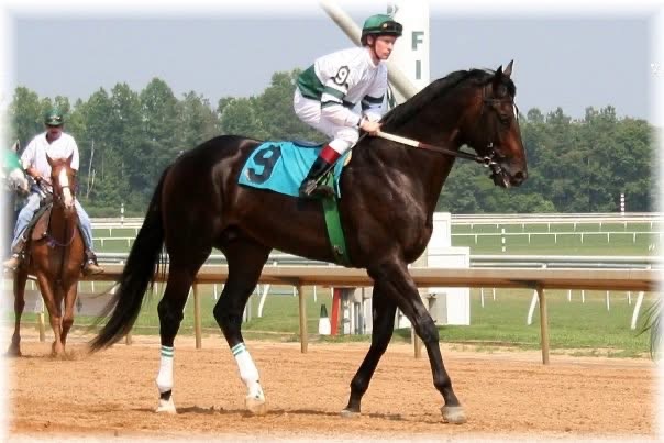 Shaolin Jockey .com