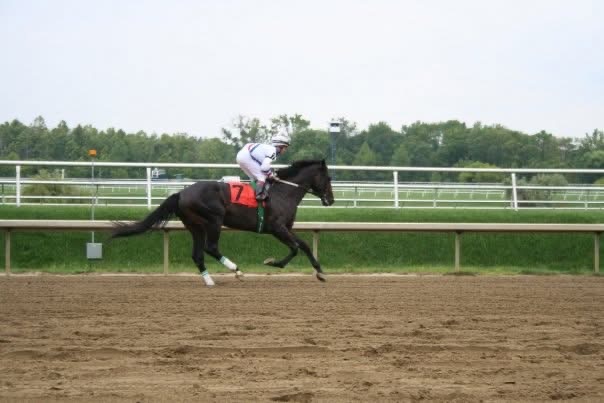 Shaolin Jockey .com