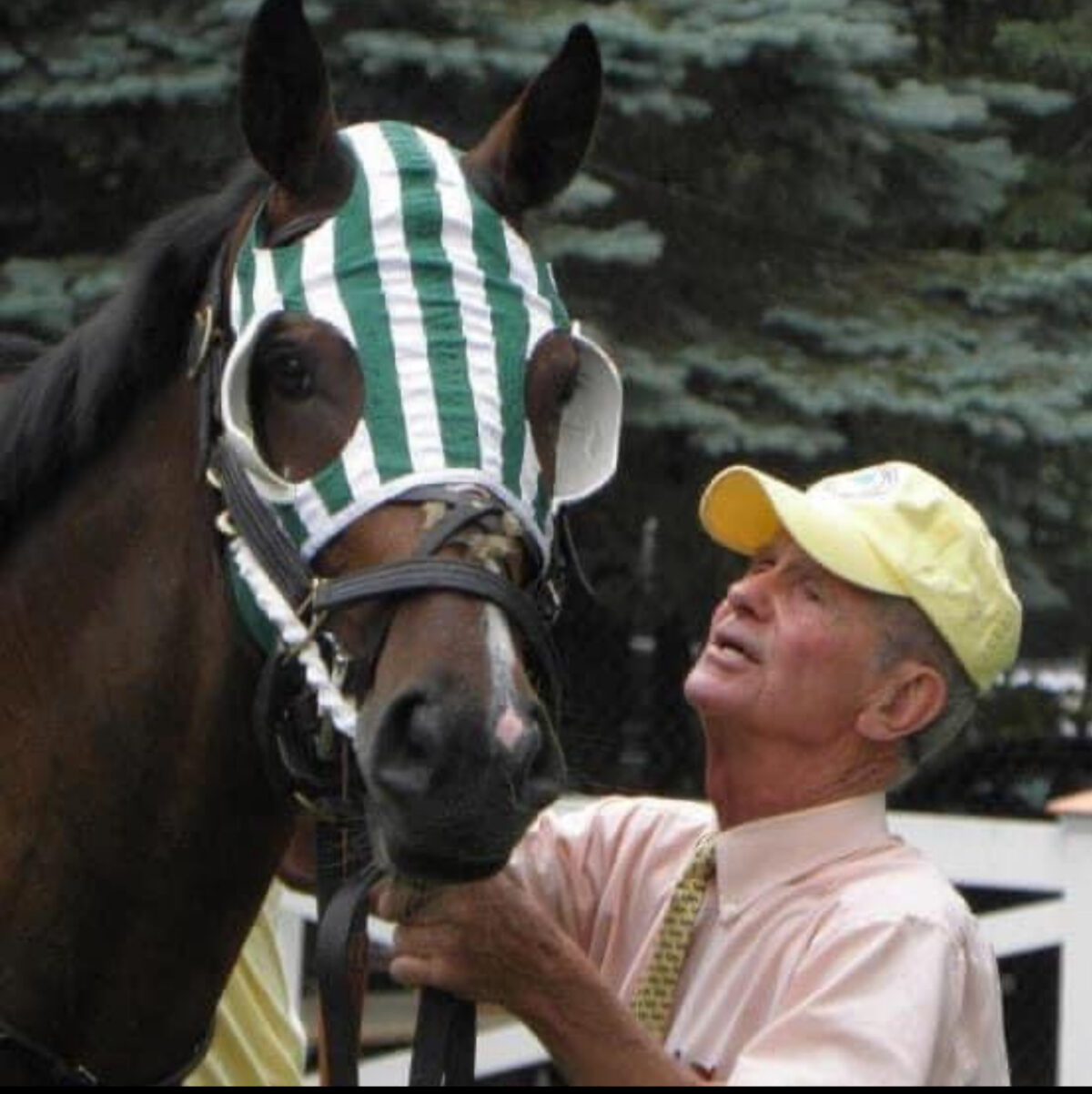 Shaolin Jockey .com