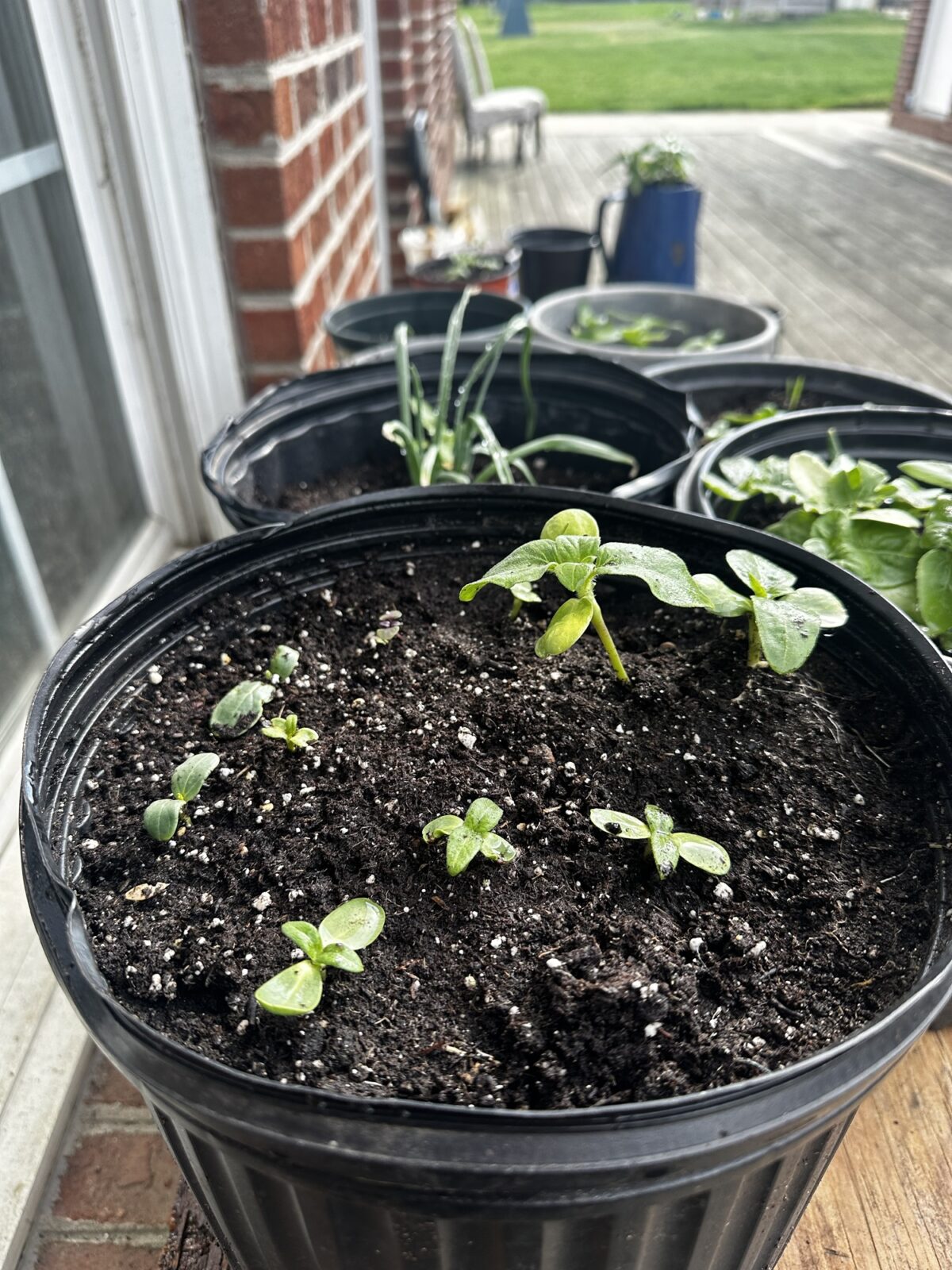Reap What You Sow