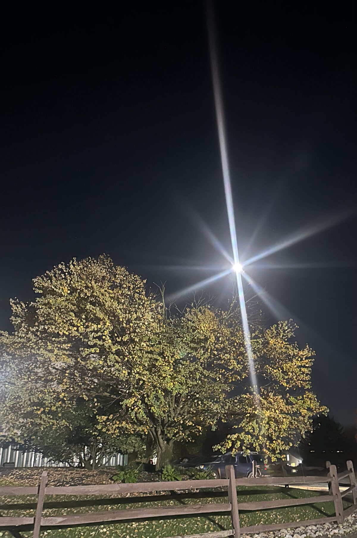 Light Shines in Darkness